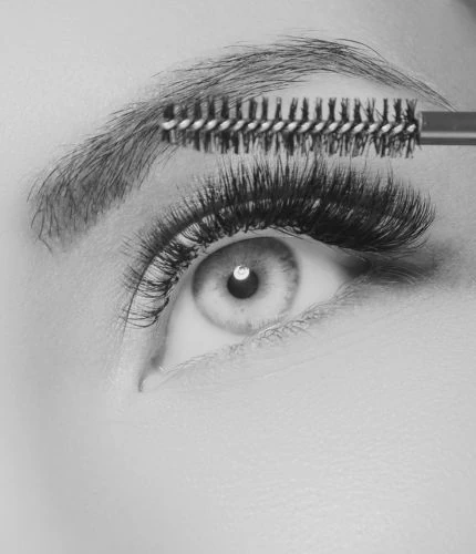 Brow and Lash Services