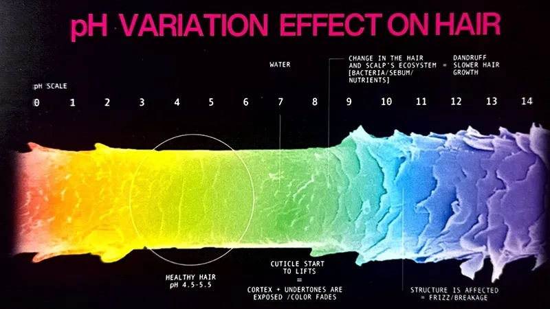 The Science of Healthy Hair and Why pH Matters